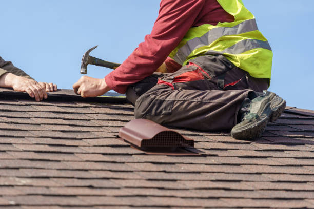 Best Metal Roofing Contractor  in Buchanan, GA
