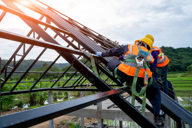 Best New Roof Installation  in Buchanan, GA