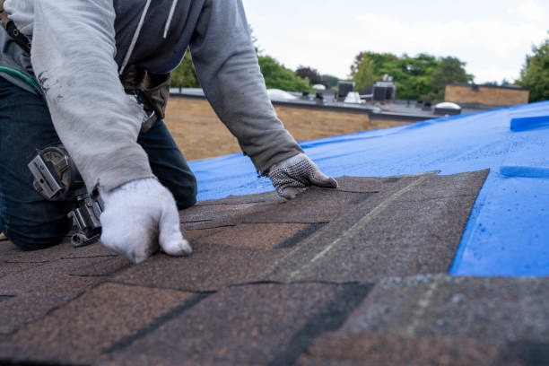 Best Commercial Roofing Services  in Buchanan, GA