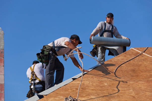 Professional Roofing Contractor in Buchanan, GA