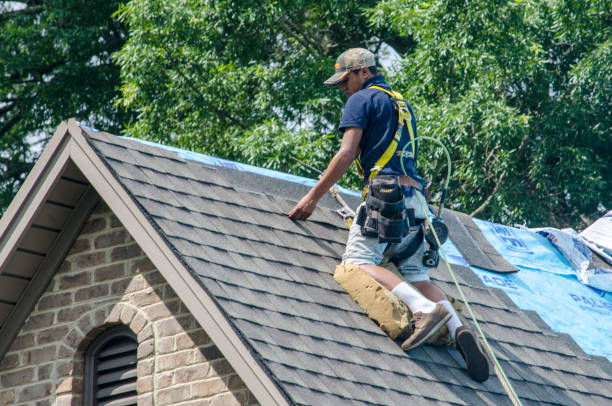 Best Gutter Installation and Roofing  in Buchanan, GA